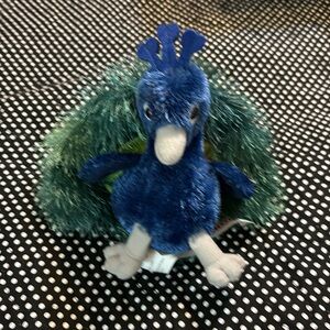 New! Adorable Peacock straight from San Diego Zoo